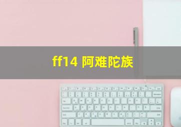 ff14 阿难陀族